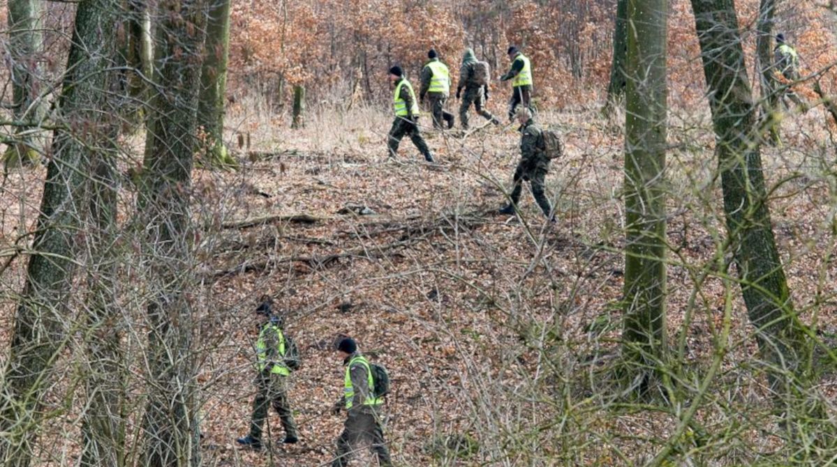 Będą przeczesywać lasy w poszukiwaniu dzików. Na drogę może wbiec spłoszona zwierzyna