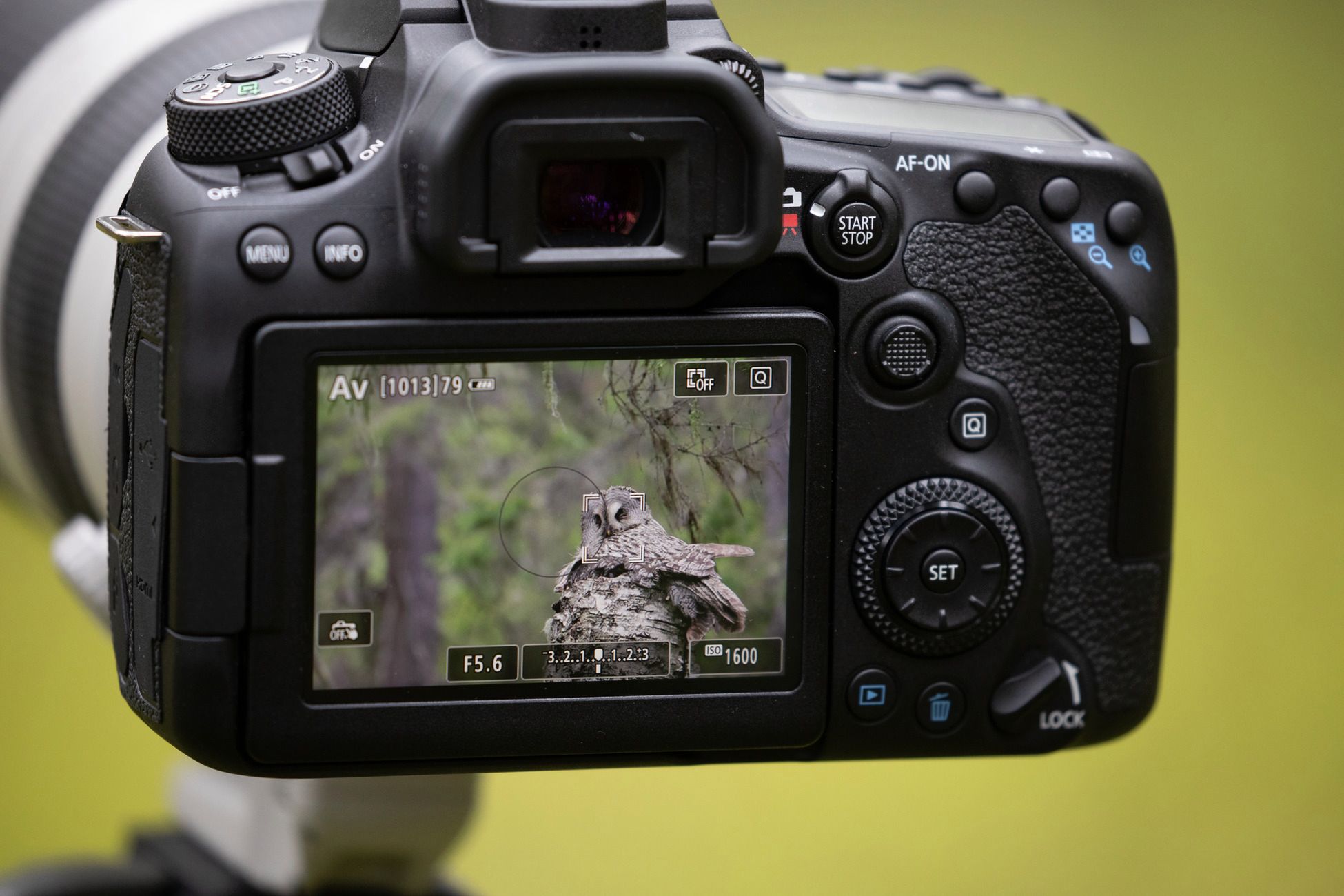 Canon EOS 90D i Canon EOS M6 Mark II to najciekawsze korpusy Canona od lat 19