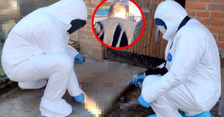 Pobita żona kilka godzin leżała przed domem. Nocą wciągnął ją do środka