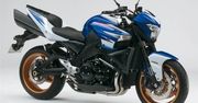 Suzuki B-King w nowym malowaniu na 2010