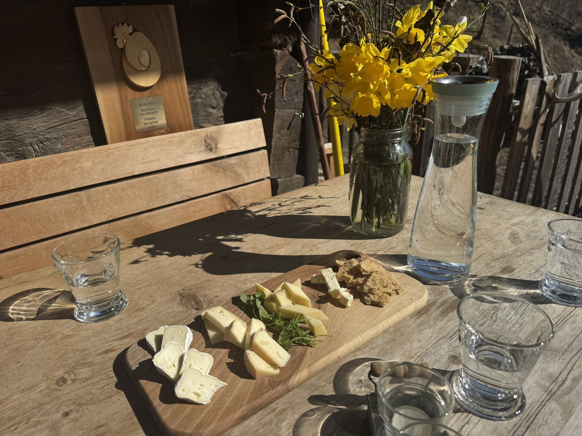 Ser - gwiazda, zyskał tytuł Produktu Roku 