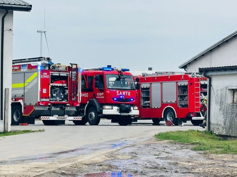 Pożar kurnika
