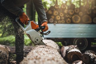 Niemcy wykupują polskie drewno opałowe? Nieoficjalne doniesienia mówią o ogromnej skali