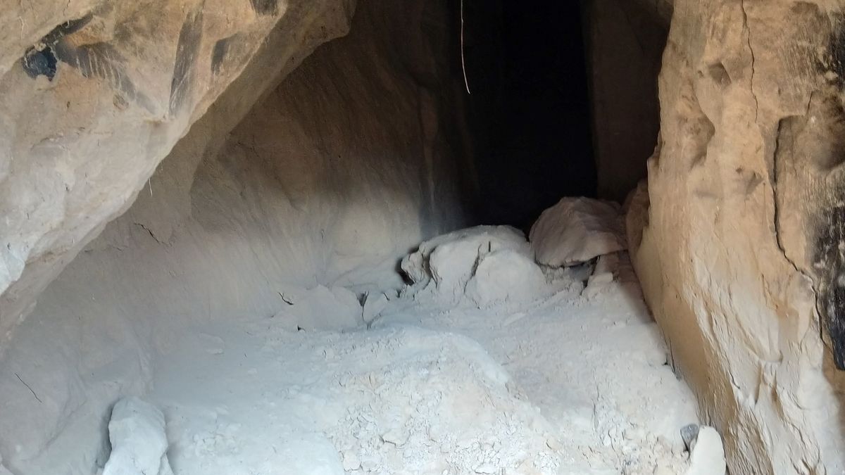 W Szczebrzeszynie dokonano sensacyjnego odkrycia 