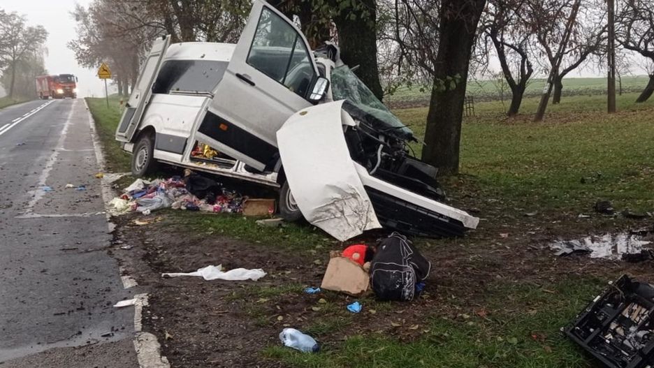 Wypadek w miejscowości Wereszyn w gminie Mircze. Zginęły dwie kobiety i 6-letnie dziecko. Pojazdem podróżowali obywatele Ukrainy