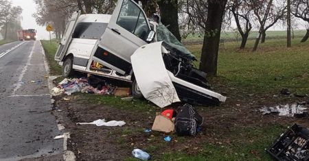 Bus wbił się w drzewo. Prokuratura wszczęła śledztwo