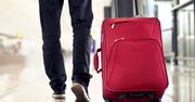 Przemycał w walizce 610 tys. euro. Wywęszył je pies