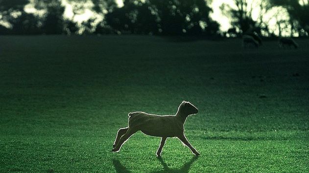 Fotografia przyrodnicza - 15 inspirujących zdjęć dla miłośników przyrody [galeria] 1