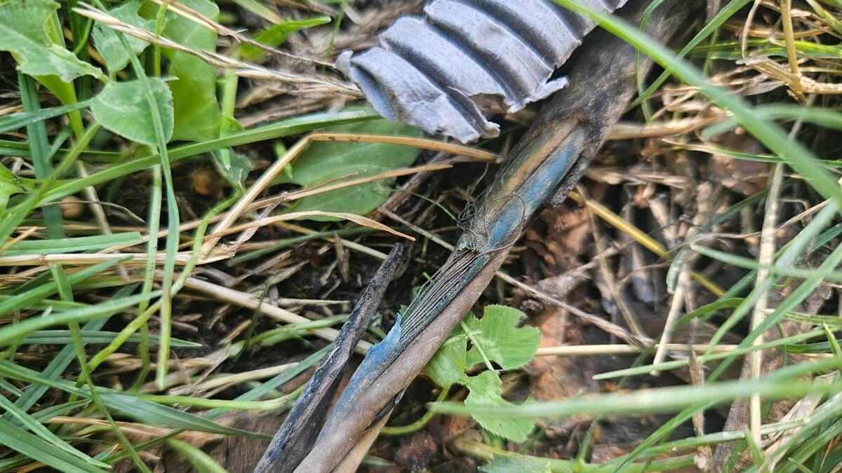 Uszkodzony kabel zasilający napis I
