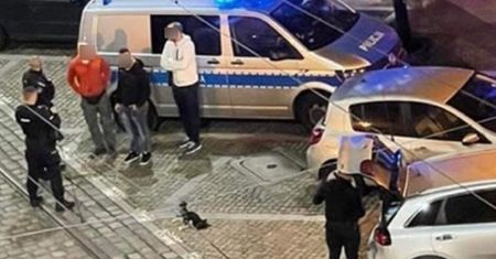 Martwy szczeniak na chodniku w Poznaniu. 27-latka ma zarzuty