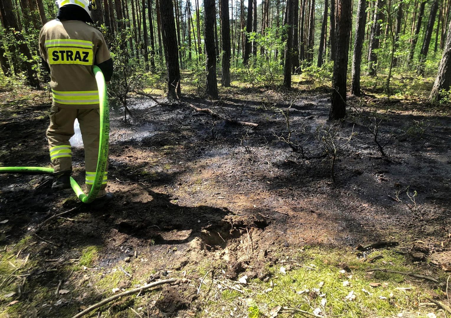 Pożar w lesie. 11-letnia dziewczynka poparzona