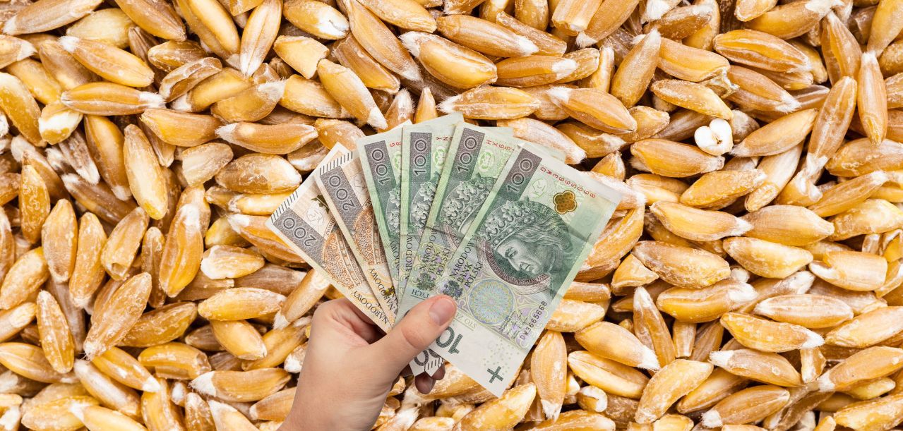 Dopłata do zboża 2025. Nawet 2200 zł/ha. Kto dostanie pieniądze?