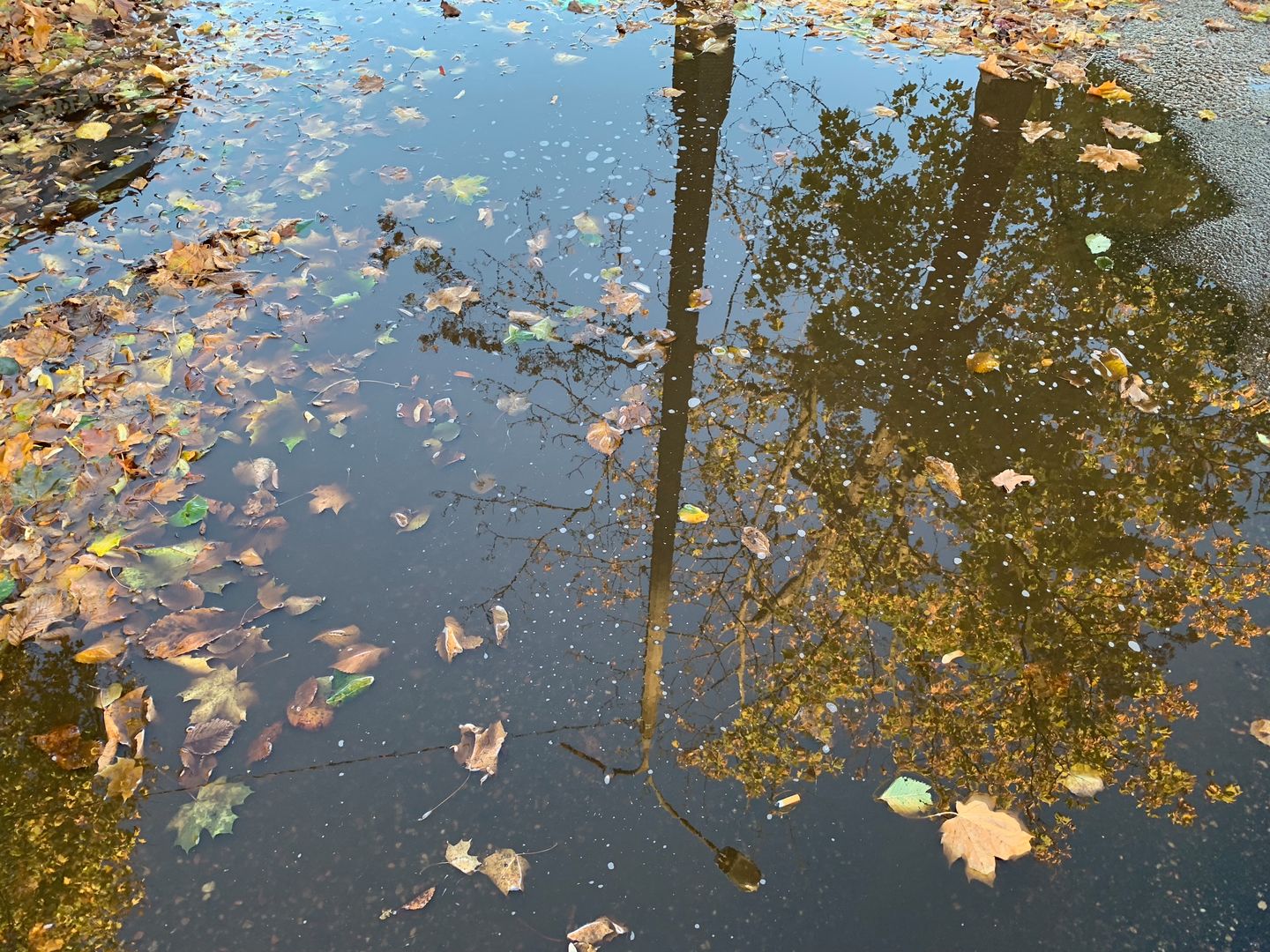iPhone XS Max, czyli więcej tego samego, ale drożej [TEST] 37