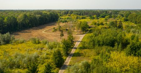 Warszawa. Inspektor budowlany wstrzymuje budowę osiedla w rezerwacie Łosiowe Błota