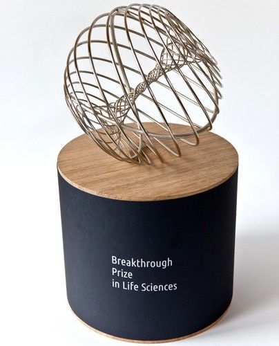 Breakthrough Prize Trophy