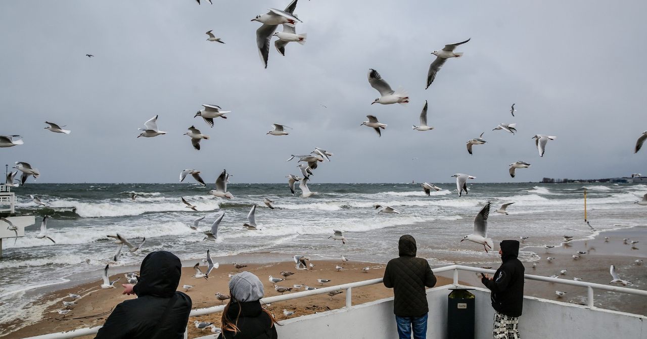 Pomorze: Wiatr nawet do 110 km/h. Ostrzeżenie wydali eksperci