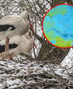 Wraca zimno. Piękny weekend i koniec. Śnieg w prognozie