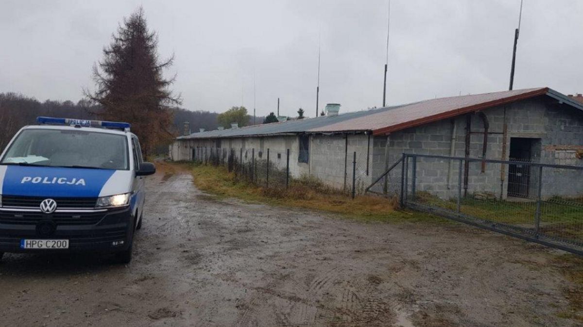 Na miejscu zdarzenia interweniowała policja