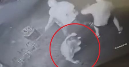 Radom. Brutalne pobicie ekspedientki. Sprawca ukrył się za granicą
