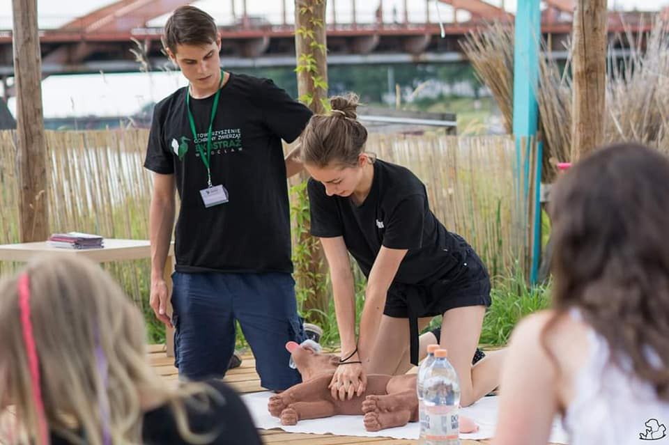 Wrocław. Ekostraż zaprasza na Rynek. Można pomóc potrzebującym zwierzętom