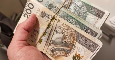 Piramida finansowa. Oszukali setki osób. Mózg grupy przyznał się do winy