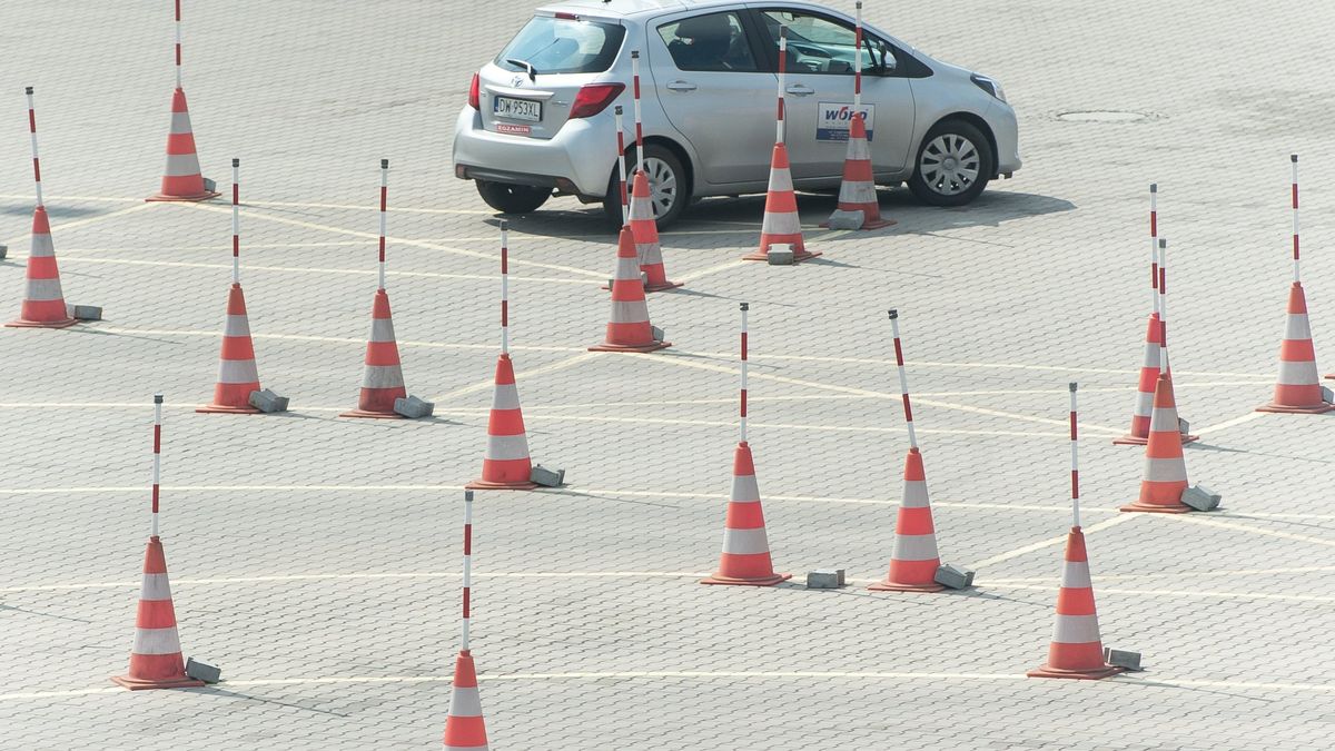 egzamin
Maciej Kulczyński
auto samochod, Egzamin na prawo jazdy, elka, ilustracja ilustracje, L, nauka jazdy, plac manewrowy, WORD, zdawac zdawanie