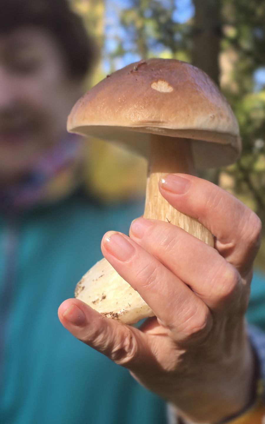 Grzybów jest już mniej, ale to jeszcze nie koniec sezonu.