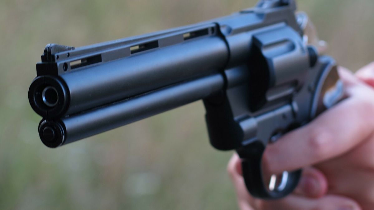 "RW rękach Polaków jest już niemal milion legalnych sztuk broni.