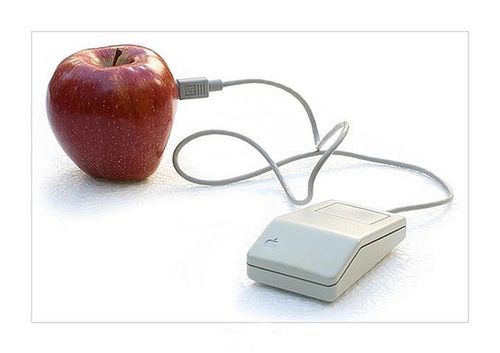 „Świeżo upieczony jabłecznik” – jak zapisywać na dysk z PC ?