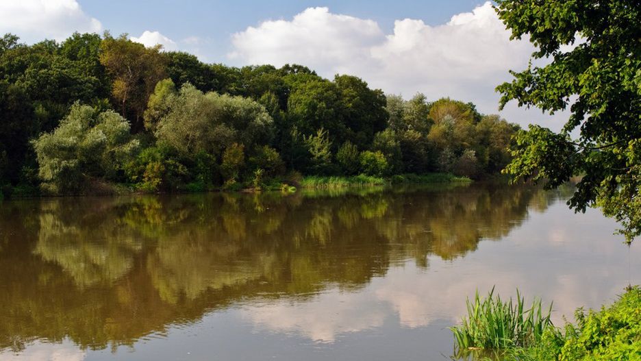 Odra. "Unio, nie pozwól niszczyć rzeki". Aktywiści nie chcą odrzańskiej żeglugi (Materiały prasowe)