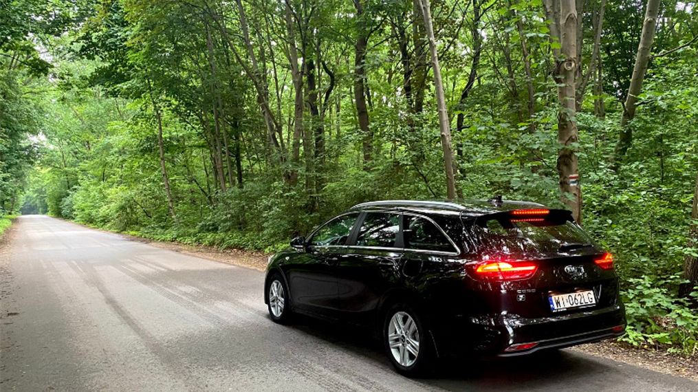 Zdjęcie ilustracyjne do artykułu