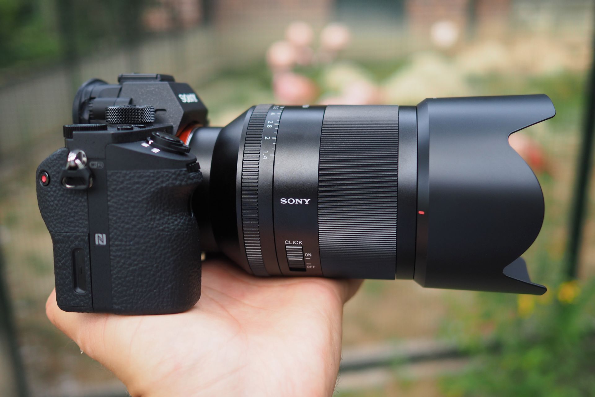 Zeiss Planar T* FE 50 mm f/1.4 ZA - nasze przykładowe zdjęcia 3