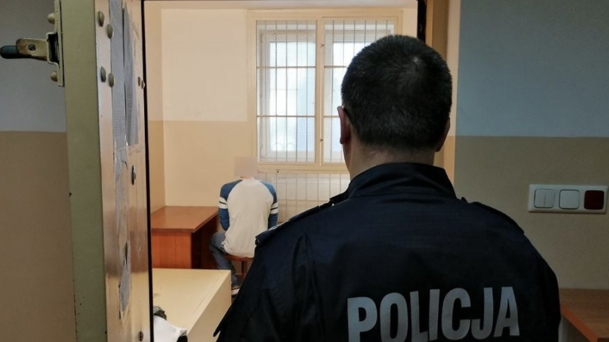 policja
