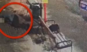 Upadł na przystanku i nie mógł wstać. Opublikowali nagranie