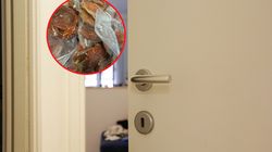 Wystawił w sieci grzyby na sprzedaż. Do jego drzwi zapukała policja i sanepid