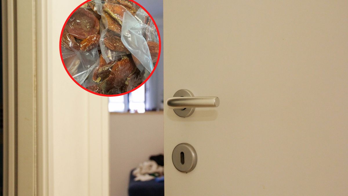 Mieszkaniec Sochaczewa prowadził sklep internetowy z suszonymi kapeluszami muchomora czerwonego