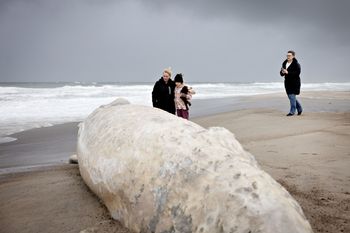 Martwy wieloryb na plaży. Schodzą się ludzie, robią zdjęcia