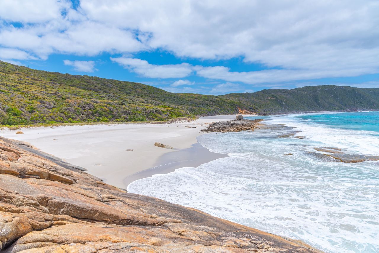 Australia. Atak rekina na słynnej plaży