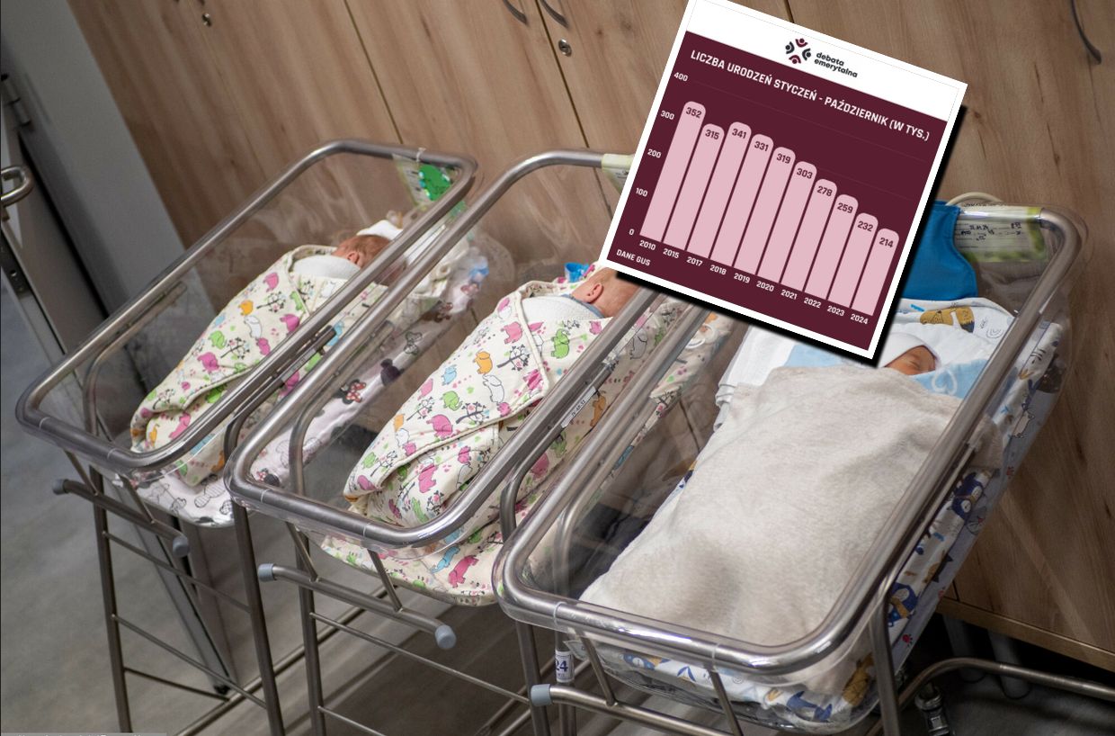 Liczba urodzeń w Polsce w 2024