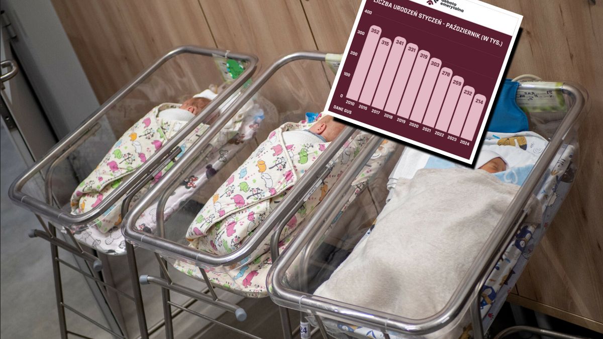 Liczba urodzeń w Polsce w 2024