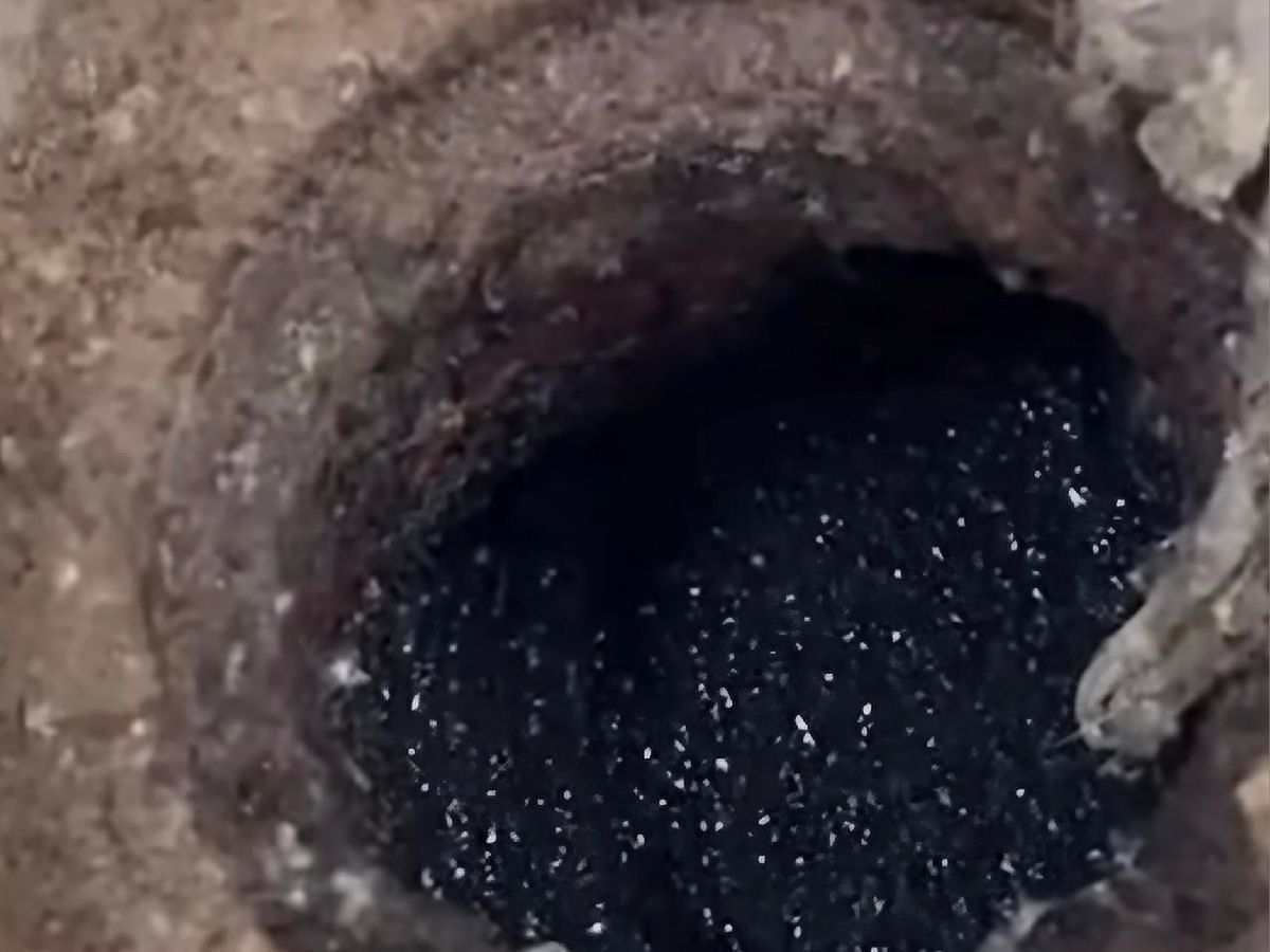 Tak wygląda gniazdo larw ćmianek w odpływie