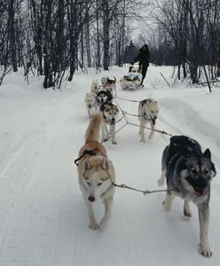 13-latek zginął na feriach. Wielka frajda skończyła się tragedią