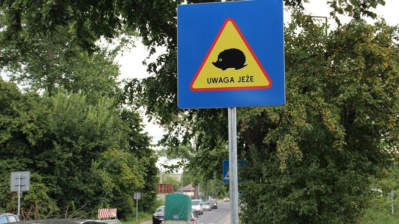 Tabliczka przy ulicy ostrzegająca przed jeżami w okolicy