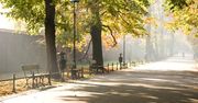 Kraków: Park przy forcie zyskuje na urodzie i atrakcyjności. Blisko do otwarcia zielonej strefy w Bronowicach