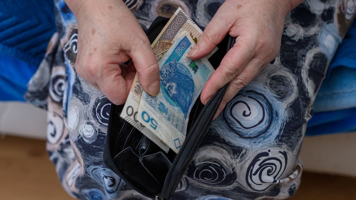 babcia, starszy, kobieta, portfel, haracz, oszustwo, metoda na wnuczka, oszust, podwyżka, renta, emeterytura, dodatek, refundacja, inflacja, bieda, pln, polski, nbp, trzynasta emerytura, podatek, zus, waluta, budżet, naiwny, staruszka, banknoty, papier, 100, finanse, gotówka