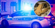 Włocławek: Mróz niemal zabił. Policja uratowała dwie osoby z auta
