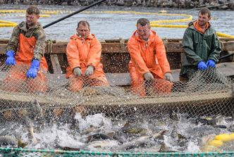 Unia Europejska nie posłuchała Polski. Nie dla połowu dorsza przez polskich rybaków