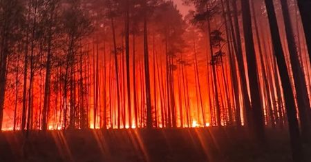 Katastrofa w trakcie gaszenia pożaru lasów w powiecie biłgorajskim. Rozbił się dromader, pilot nie żyje