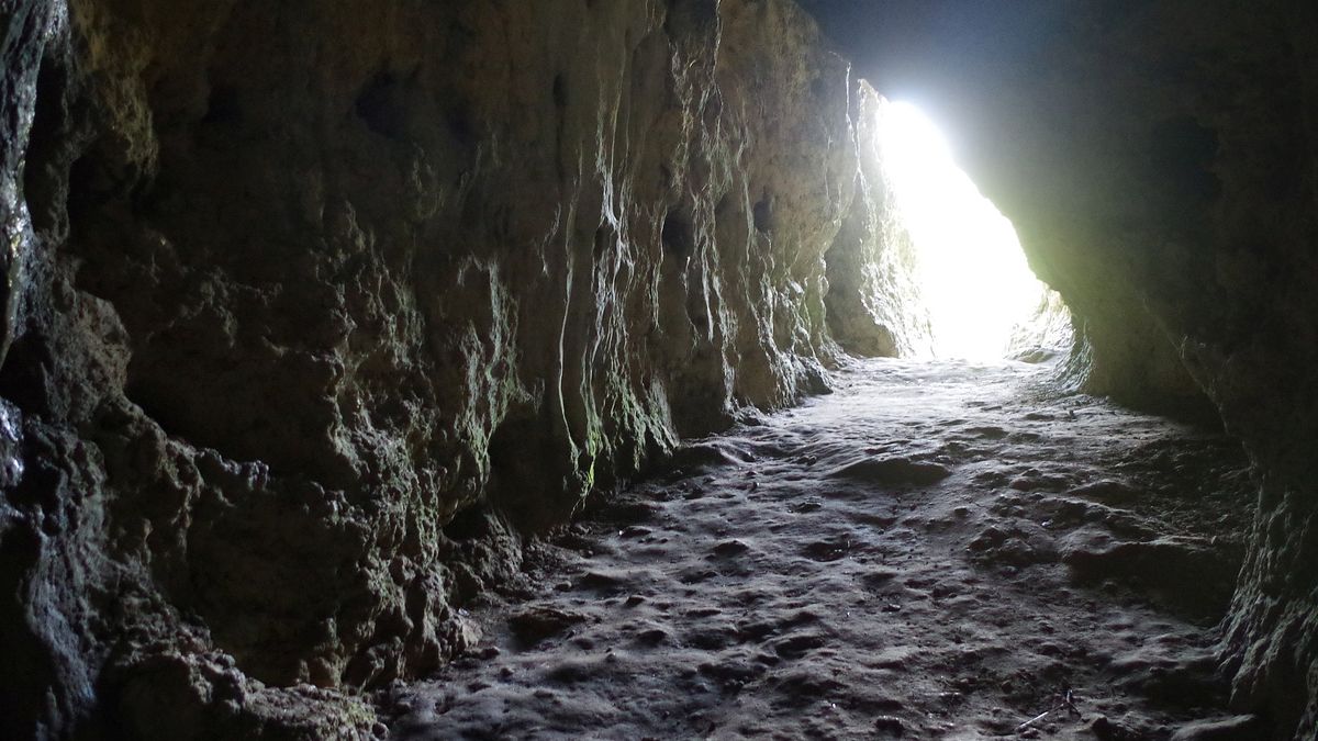 W jaskini Stajnia znaleziono najstarsze w Polsce szczątki neandertalczyka 