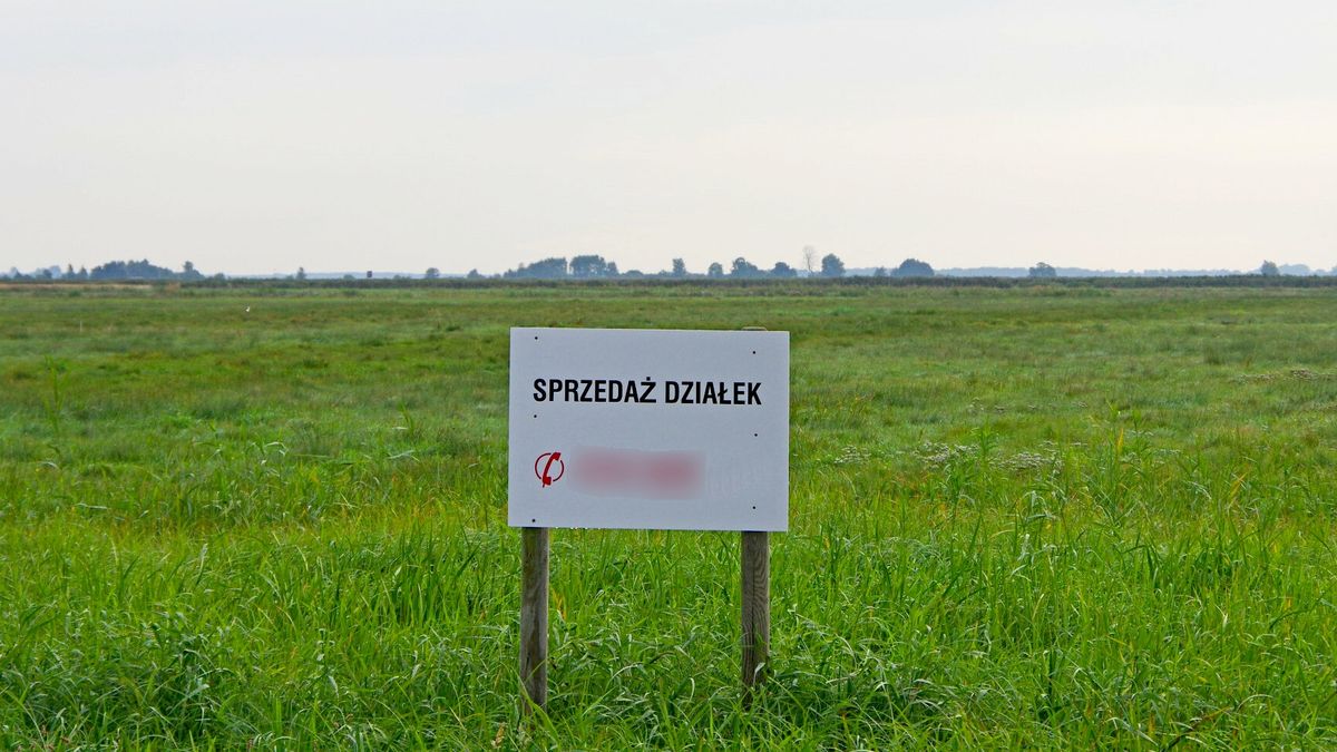 Na co uważać przy zakupie działki? Praktyczne porady dla przyszłych inwestorów